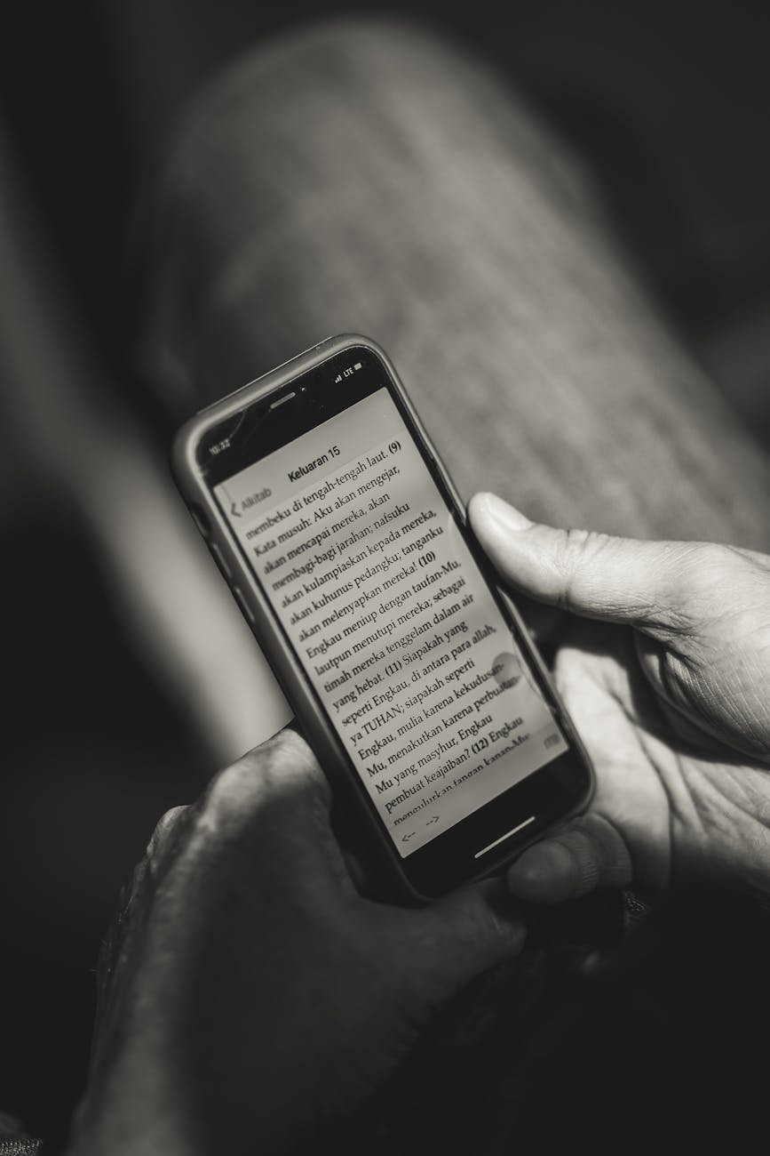 Tous nos articles de newsletter accessibles en ligne